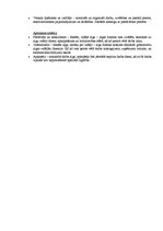 Konspekts 'Tirdzniecības vietas organizēšana', 3.