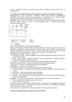 Konspekts 'Konspekts valsts eksāmenam Sporta akadēmijā', 28.
