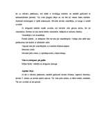 Konspekts 'Lietišķas viesības', 5.