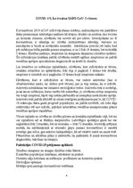 Referāts 'Vīrusu pētīšana', 4.