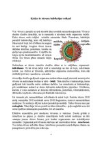 Referāts 'Vīrusu pētīšana', 6.