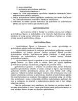 Referāts 'Apdrošināšana', 5.
