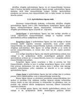 Referāts 'Apdrošināšana', 10.