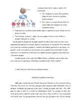 Referāts 'Cilmes šūnas', 8.