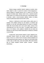 Referāts 'Alternatīvās mūzikas atstātā ietekme uz personību un sabiedrību', 7.