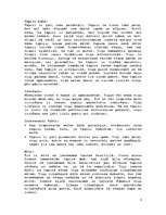 Referāts 'Tapirs', 3.