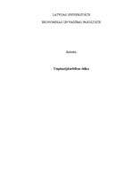 Referāts 'Uzņēmējdarbības ētika', 1.