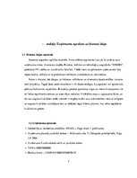 Biznesa plāns 'Biznesa plāns bižutērijas veikalam SIA "Pearl"', 4.