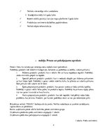 Biznesa plāns 'Biznesa plāns bižutērijas veikalam SIA "Pearl"', 6.