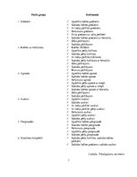 Biznesa plāns 'Biznesa plāns bižutērijas veikalam SIA "Pearl"', 7.