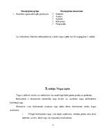 Biznesa plāns 'Biznesa plāns bižutērijas veikalam SIA "Pearl"', 8.