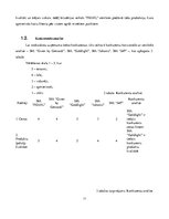 Biznesa plāns 'Biznesa plāns bižutērijas veikalam SIA "Pearl"', 12.