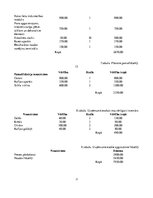 Biznesa plāns 'Biznesa plāns bižutērijas veikalam SIA "Pearl"', 17.