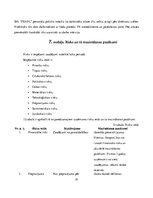 Biznesa plāns 'Biznesa plāns bižutērijas veikalam SIA "Pearl"', 20.