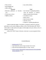 Biznesa plāns 'Biznesa plāns bižutērijas veikalam SIA "Pearl"', 25.