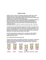 Referāts 'Siltuma dzinēji', 6.