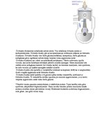 Referāts 'Siltuma dzinēji', 7.