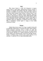 Referāts 'Zosveidīgo putnu kārta', 4.