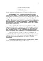 Referāts 'Studentu kreditēšana', 7.