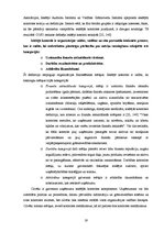 Diplomdarbs 'Iekšējās kontroles sistēma un kredītreitings Baltijas – Amerikas uzņēmējdarbības', 19.