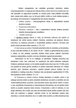 Diplomdarbs 'Iekšējās kontroles sistēma un kredītreitings Baltijas – Amerikas uzņēmējdarbības', 29.