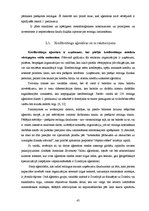 Diplomdarbs 'Iekšējās kontroles sistēma un kredītreitings Baltijas – Amerikas uzņēmējdarbības', 45.