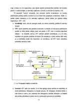 Diplomdarbs 'Iekšējās kontroles sistēma un kredītreitings Baltijas – Amerikas uzņēmējdarbības', 53.