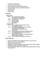 Konspekts 'Pirmais pasaules karš', 2.