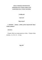 Konspekts 'Cilvēka prātam neaptveramās idejas. Cilvēka izcelšanās', 1.