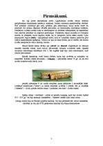 Referāts 'Personālo datoru attīstības vēsture', 3.