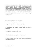 Konspekts 'Ekonomiskās sistēmas', 3.