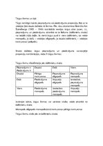 Konspekts 'Ekonomiskās sistēmas', 7.