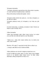 Konspekts 'Ekonomiskās sistēmas', 12.