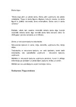 Konspekts 'Ekonomiskās sistēmas', 13.