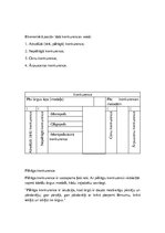 Konspekts 'Ekonomiskās sistēmas', 16.
