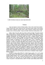 Prezentācija 'Ogres upe', 5.