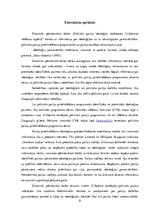 Referāts 'Politisko partiju ideoloģiju veidošanās 12.Saeimas vēlēšanu aspektā', 8.