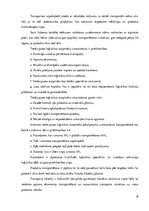 Referāts 'Loģistikas pakalpojumu sniedzēji', 18.