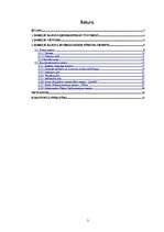 Referāts 'Dobeles rajona ievērojamākie tūrisma objekti', 2.