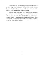 Referāts 'Filmas "Mr Nobody" analīze', 10.