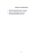 Referāts 'Filmas "Mr Nobody" analīze', 13.