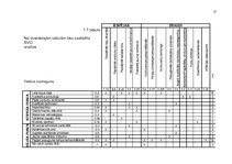Referāts 'SIA "Lielzeltiņi" vadīšana mainīgas ārējās vides apstākļos', 17.