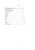 Referāts 'Vidzemes brāļu draudzes himnoloģija un liturģiskās tradīcijas', 2.