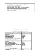 Prakses atskaite 'Praktiskais darbs personālmenedžmentā', 19.