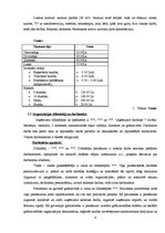 Biznesa plāns 'Jaunas organizācijas izveide. Viesu nams "Melnā pantera"', 4.