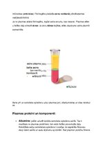 Konspekts 'Plazma', 3.