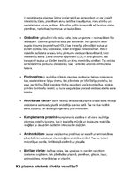 Konspekts 'Plazma', 4.