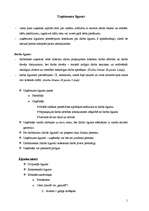 Konspekts 'Uzņēmuma līgums', 1.