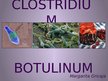 Prezentācija 'Clostridium botulinum baktērija', 1.