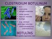 Prezentācija 'Clostridium botulinum baktērija', 3.
